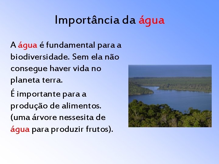 Importância da água A água é fundamental para a biodiversidade. Sem ela não consegue