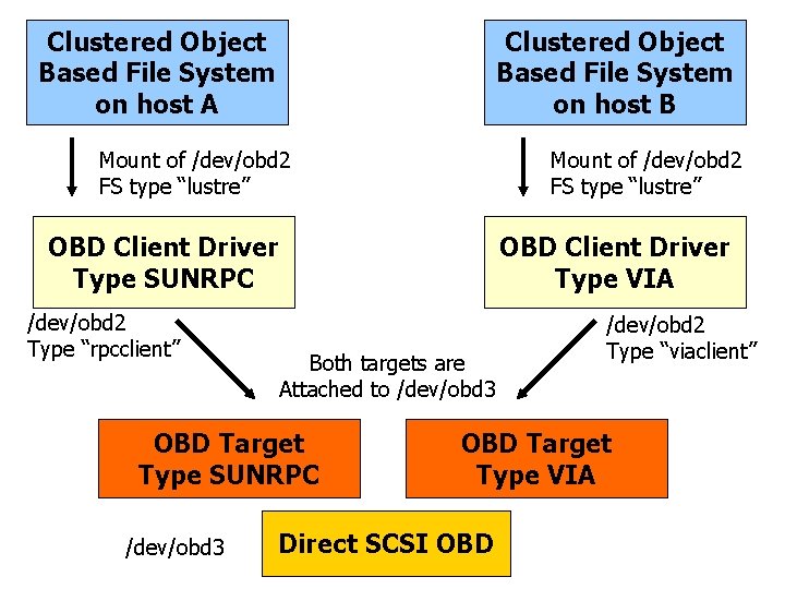 Clustered Object Based File System on host A Clustered Object Based File System on