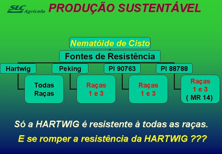 PRODUÇÃO SUSTENTÁVEL Nematóide de Cisto Fontes de Resistência Hartwig Peking Todas Raças PI 90763