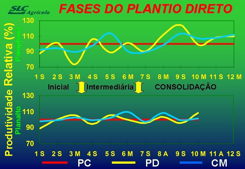 Produtividade Relativa (%) FASES DO PLANTIO DIRETO Inicial Intermediária PC CONSOLIDAÇÃO PD CM 