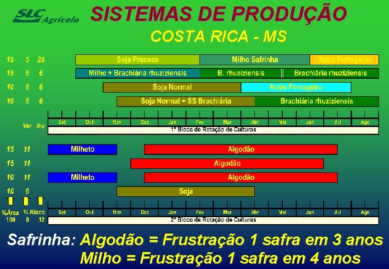 SISTEMAS DE PRODUÇÃO COSTA RICA - MS Safrinha: Algodão = Frustração 1 safra em