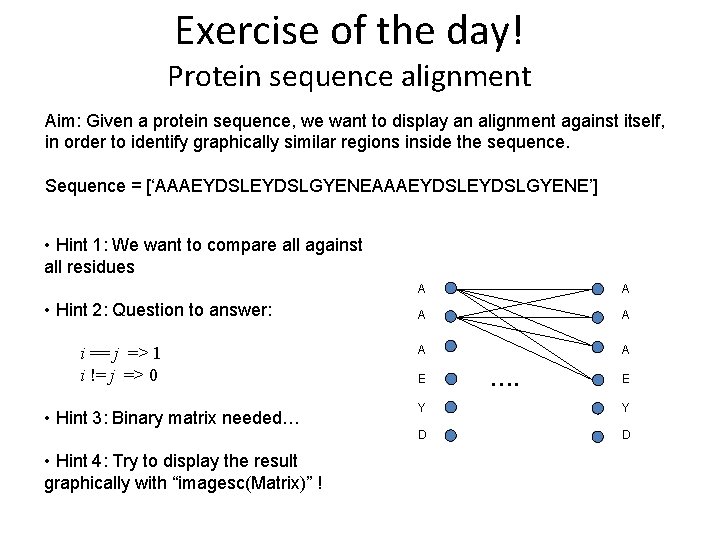 Exercise of the day! Protein sequence alignment Aim: Given a protein sequence, we want