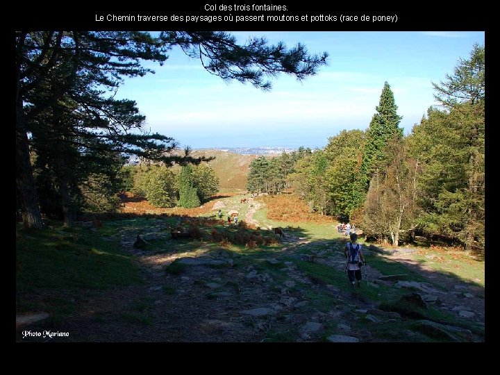 Col des trois fontaines. Le Chemin traverse des paysages où passent moutons et pottoks