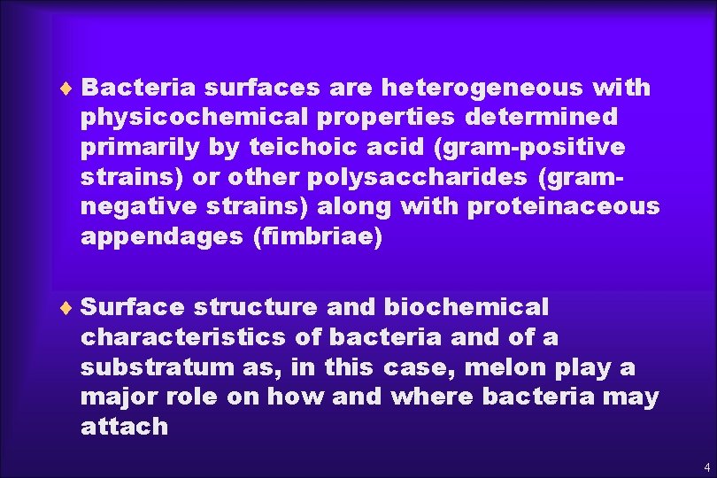 ¨ Bacteria surfaces are heterogeneous with physicochemical properties determined primarily by teichoic acid (gram-positive