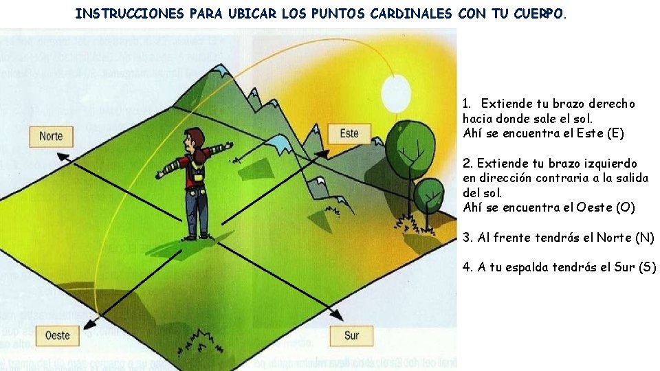 INSTRUCCIONES PARA UBICAR LOS PUNTOS CARDINALES CON TU CUERPO. 1. Extiende tu brazo derecho