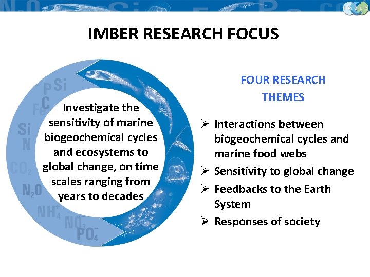 IMBER RESEARCH FOCUS Investigate the sensitivity of marine biogeochemical cycles and ecosystems to global