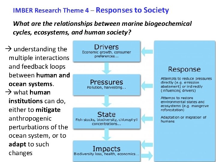 IMBER Research Theme 4 – Responses to Society What are the relationships between marine