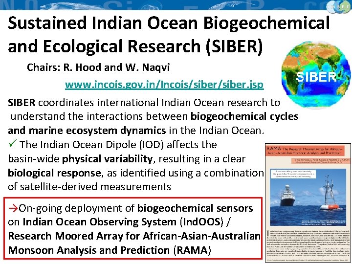 Sustained Indian Ocean Biogeochemical and Ecological Research (SIBER) Chairs: R. Hood and W. Naqvi