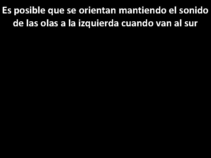 Es posible que se orientan mantiendo el sonido de las olas a la izquierda