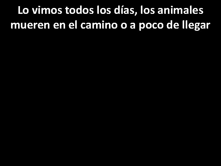 Lo vimos todos los días, los animales mueren en el camino o a poco