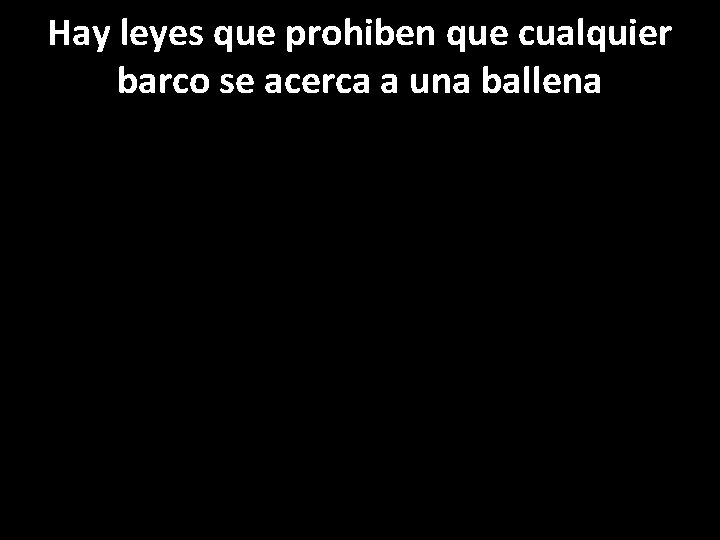 Hay leyes que prohiben que cualquier barco se acerca a una ballena 