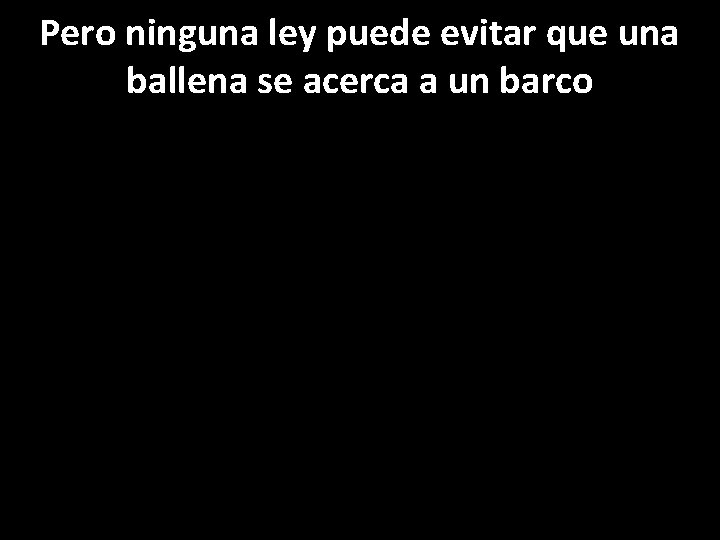 Pero ninguna ley puede evitar que una ballena se acerca a un barco 