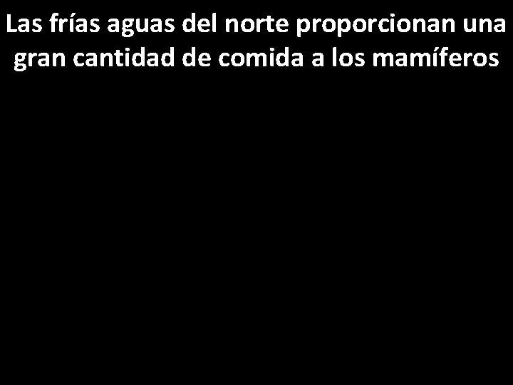 Las frías aguas del norte proporcionan una gran cantidad de comida a los mamíferos