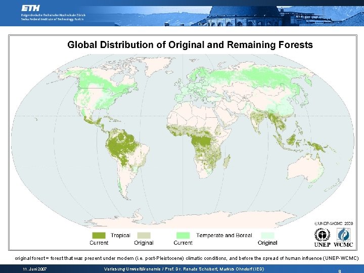 original forest = forest that was present under modern (i. e. post-Pleistocene) climatic conditions,