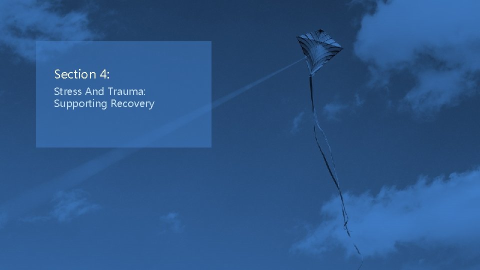 Section 4: Stress And Trauma: Supporting Recovery 