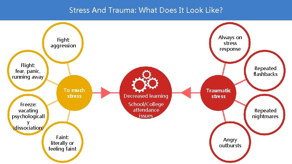 Stress And Trauma: What Does It Look Like? Always on stress response Fight: aggression