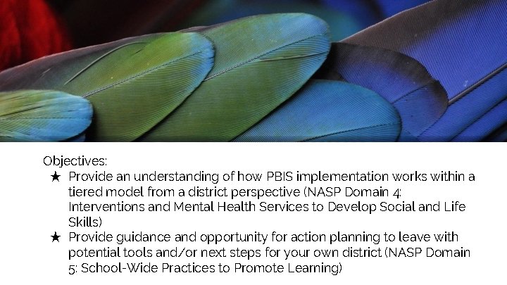 Objectives: ★ Provide an understanding of how PBIS implementation works within a tiered model