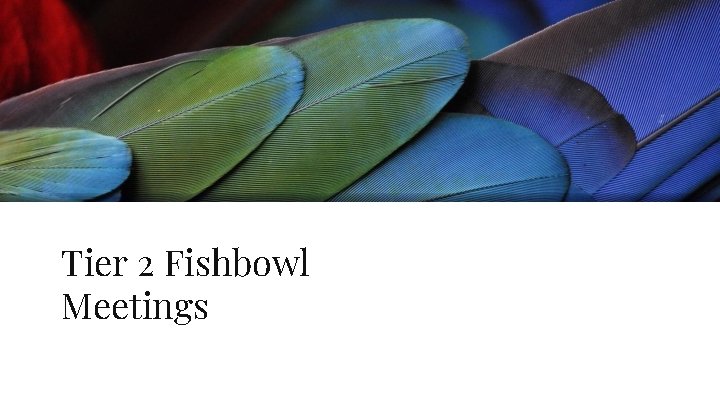 Tier 2 Fishbowl Meetings 