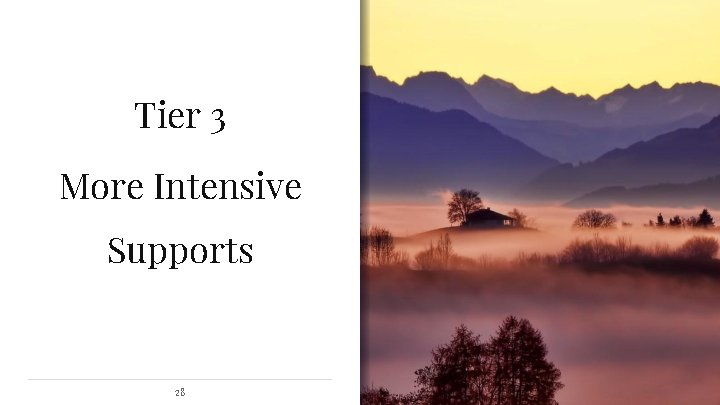 Tier 3 More Intensive Supports 28 
