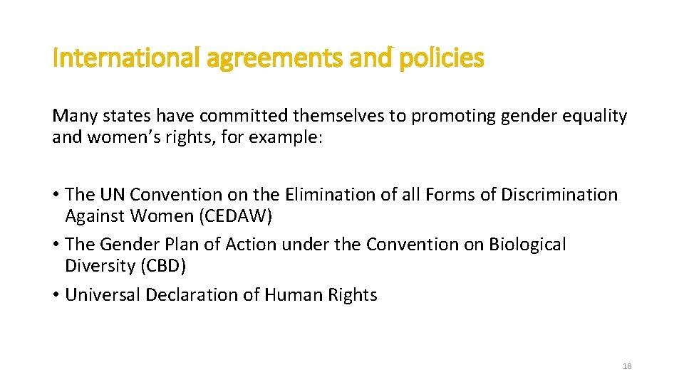 International agreements and policies Many states have committed themselves to promoting gender equality and International agreements and policies Many states have committed themselves to promoting gender equality and