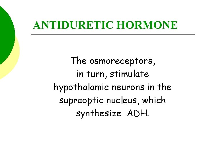 ANTIDURETIC HORMONE The osmoreceptors, in turn, stimulate hypothalamic neurons in the supraoptic nucleus, which