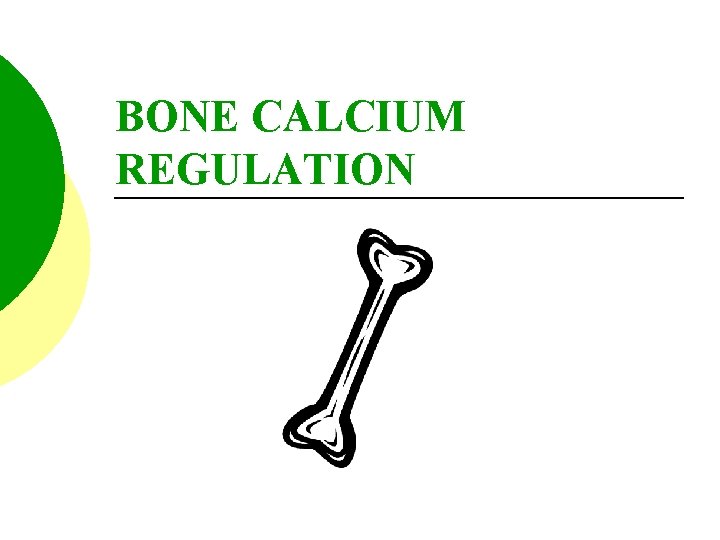 BONE CALCIUM REGULATION 