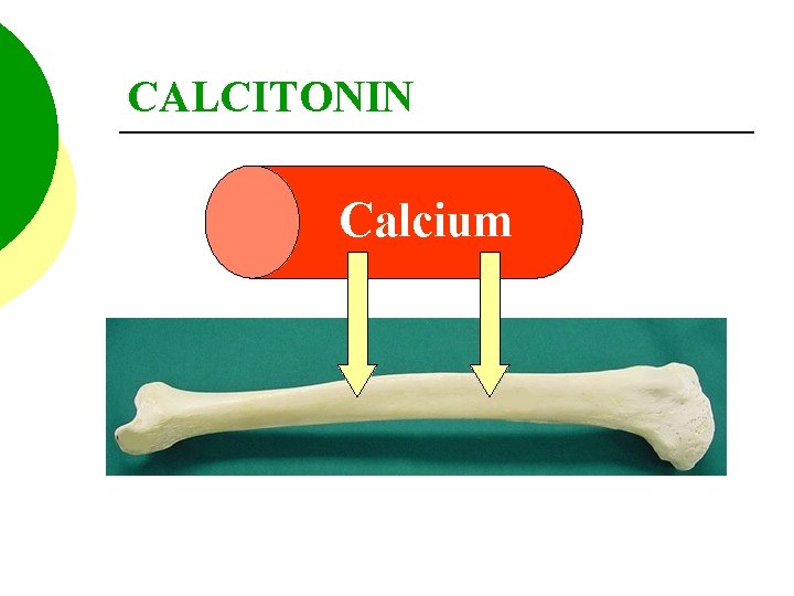 CALCITONIN Calcium 