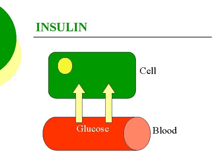 INSULIN Cell Glucose Blood 