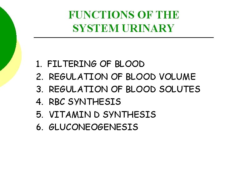 FUNCTIONS OF THE SYSTEM URINARY 1. 2. 3. 4. 5. 6. FILTERING OF BLOOD