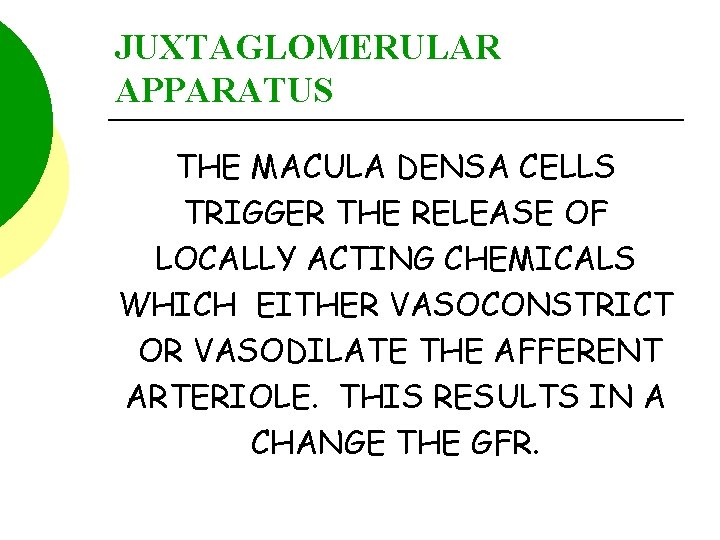 JUXTAGLOMERULAR APPARATUS THE MACULA DENSA CELLS TRIGGER THE RELEASE OF LOCALLY ACTING CHEMICALS WHICH