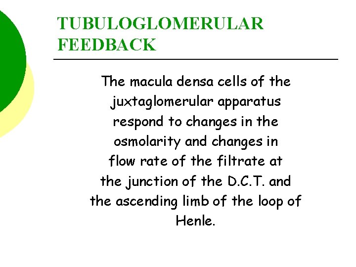 TUBULOGLOMERULAR FEEDBACK The macula densa cells of the juxtaglomerular apparatus respond to changes in