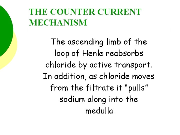 THE COUNTER CURRENT MECHANISM The ascending limb of the loop of Henle reabsorbs chloride