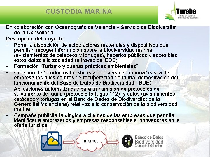 CUSTODIA MARINA En colaboración con Oceanografic de Valencia y Servicio de Biodiversitat de la