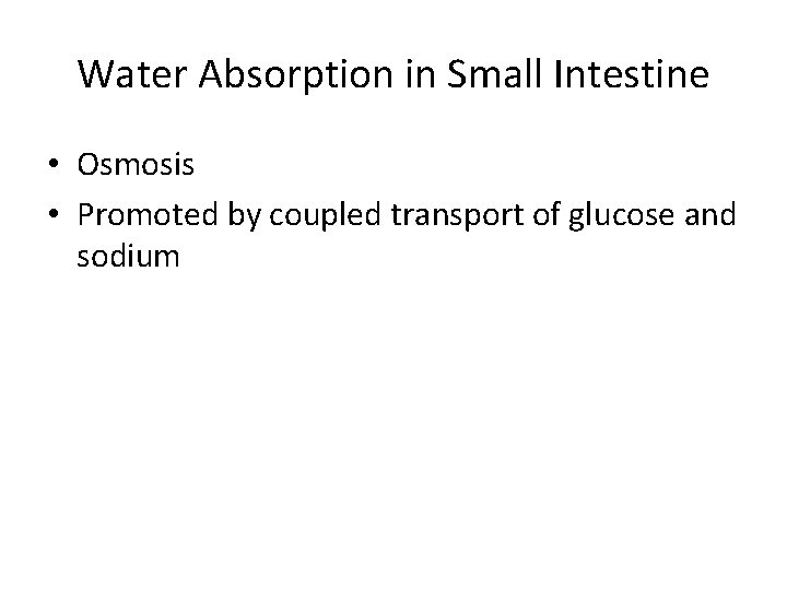 Water Absorption in Small Intestine • Osmosis • Promoted by coupled transport of glucose
