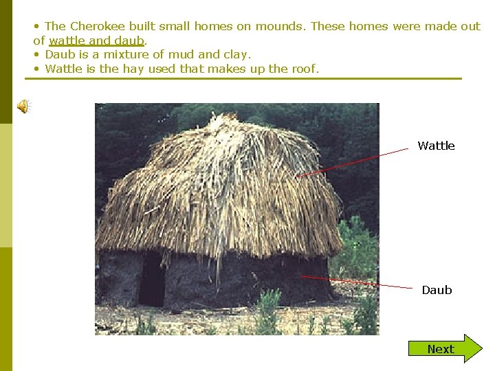  • The Cherokee built small homes on mounds. These homes were made out