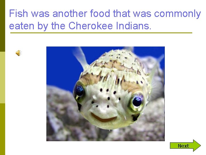 Fish was another food that was commonly eaten by the Cherokee Indians. Next 