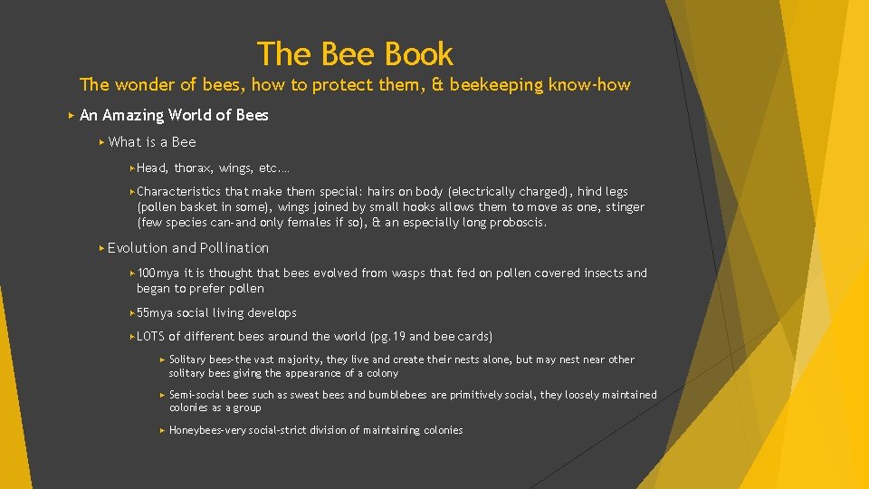 The Bee Book The wonder of bees, how to protect them, & beekeeping know-how