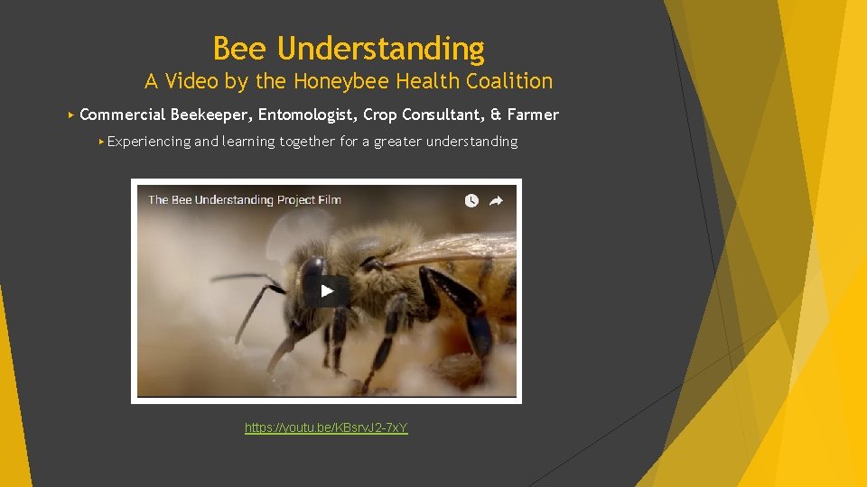 Bee Understanding A Video by the Honeybee Health Coalition ▶ Commercial Beekeeper, Entomologist, Crop