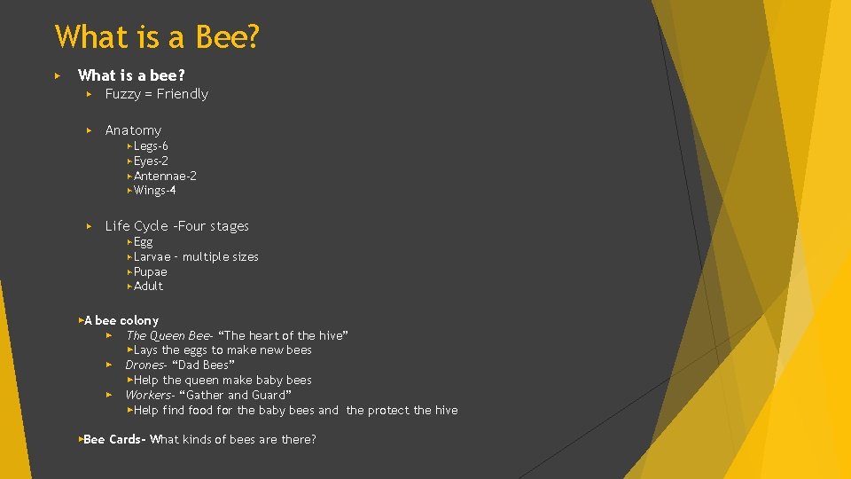 What is a Bee? ▶ What is a bee? ▶ Fuzzy = Friendly ▶