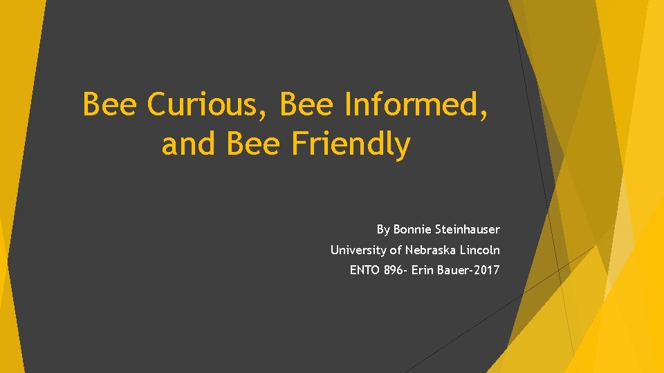 Bee Curious, Bee Informed, and Bee Friendly By Bonnie Steinhauser University of Nebraska Lincoln