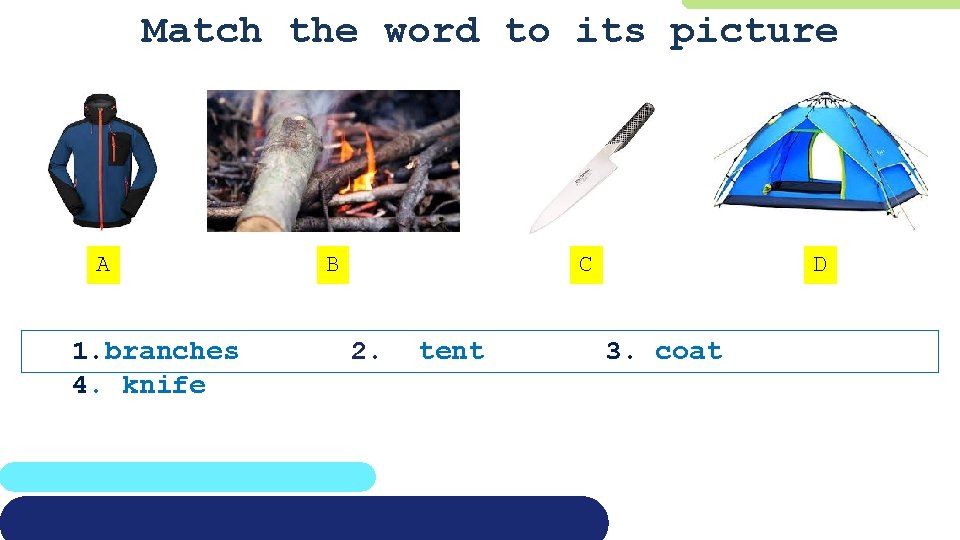 Match the word to its picture A 1. branches 4. knife B C 2.