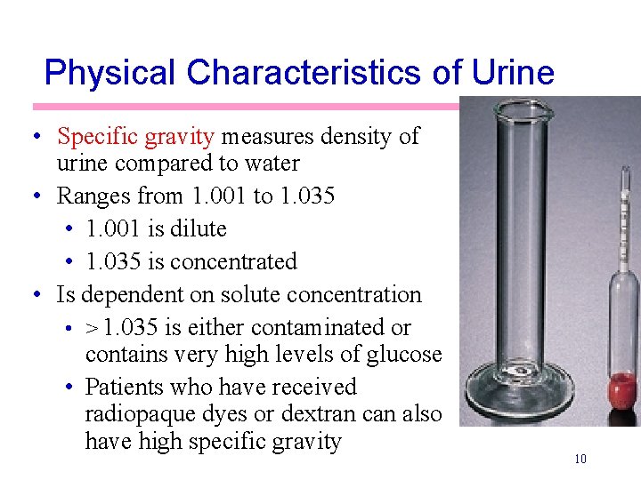 Physical Characteristics of Urine • Specific gravity measures density of urine compared to water