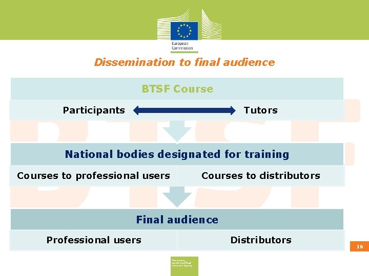 Dissemination to final audience BTSF Course Participants Tutors National bodies designated for training Courses
