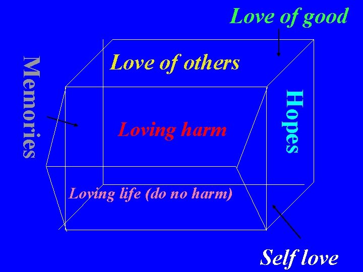 Love of good Loving harm Hopes Memories Love of others Loving life (do no