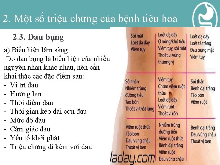 2. Một số triệu chứng của bệnh tiêu hoá 2. 3. Đau bụng a)