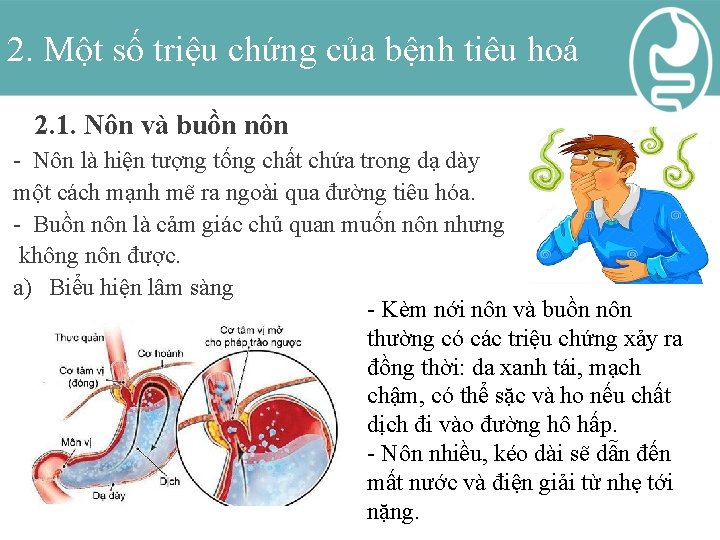 2. Một số triệu chứng của bệnh tiêu hoá 2. 1. Nôn và buồn