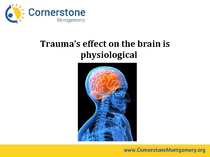 Trauma’s effect on the brain is physiological 