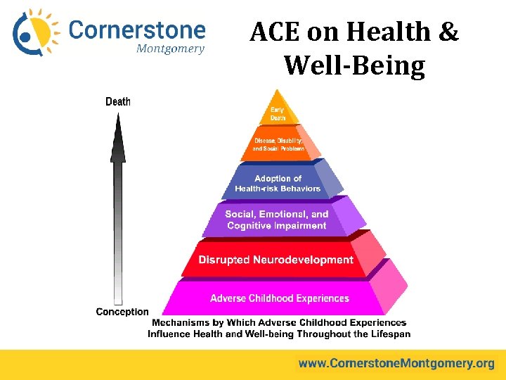 ACE on Health & Well-Being 