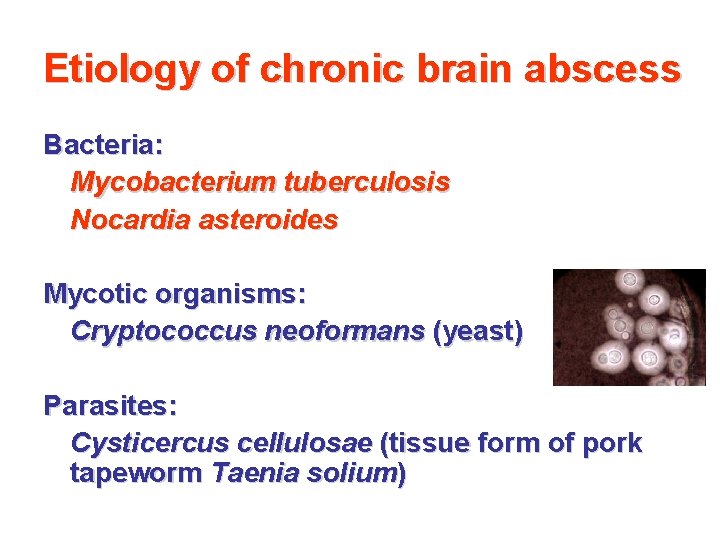 Etiology of chronic brain abscess Bacteria: Mycobacterium tuberculosis Nocardia asteroides Mycotic organisms: Cryptococcus neoformans