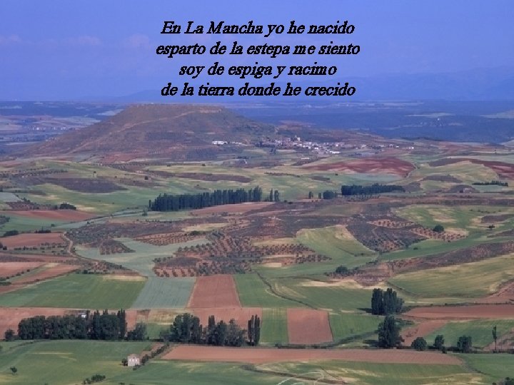 En La Mancha yo he nacido esparto de la estepa me siento soy de